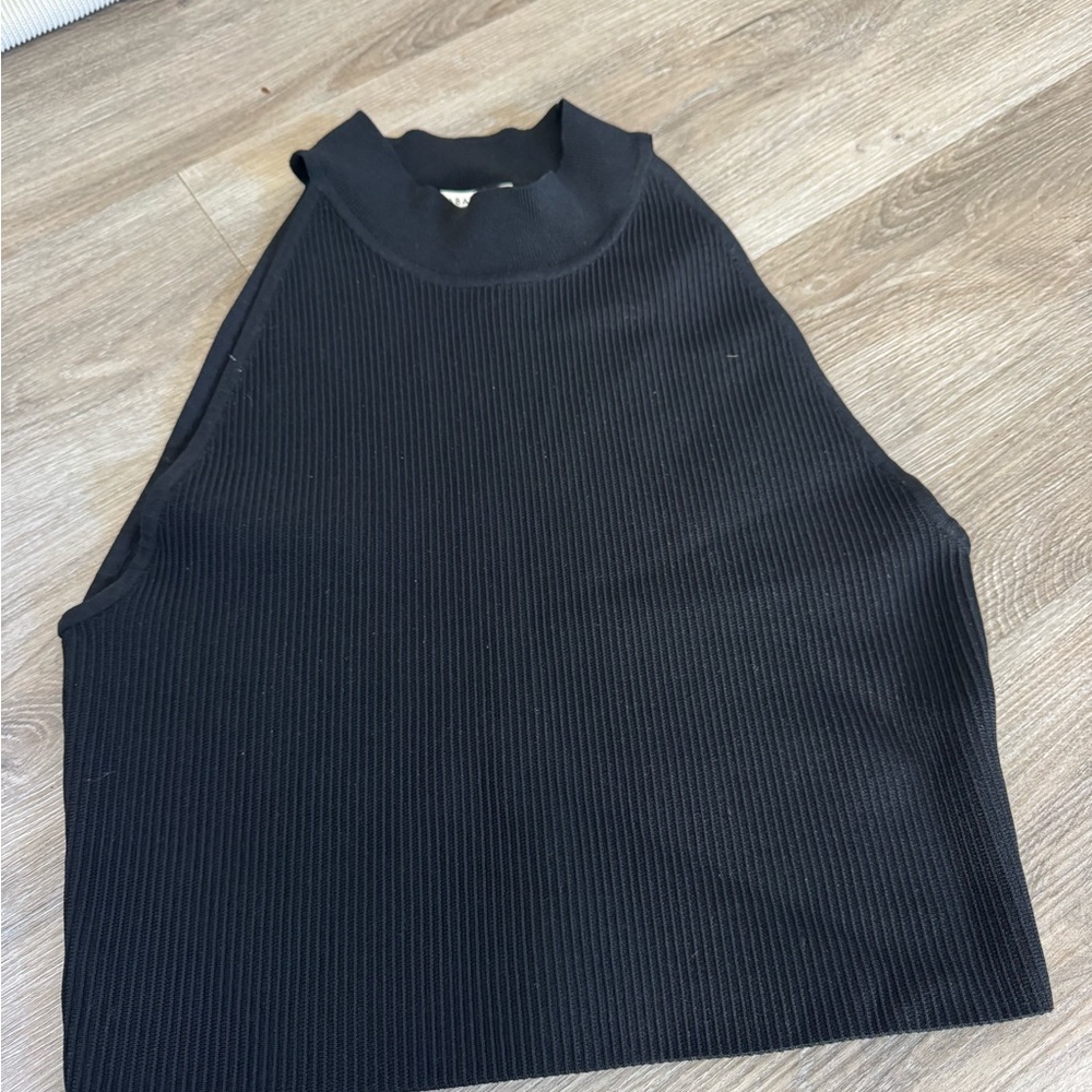 Aritzia Babaton High Neck